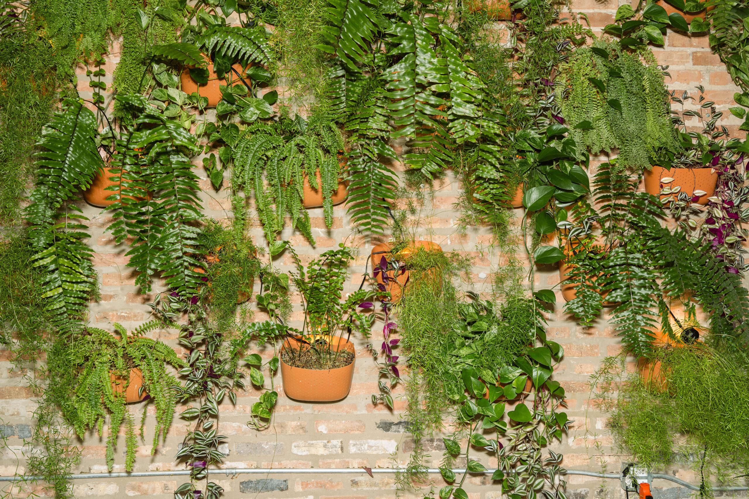 Closeup of the living wall at The Arbory Chicago